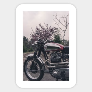Classic Motorcycle - BSA Goldstar Sticker
